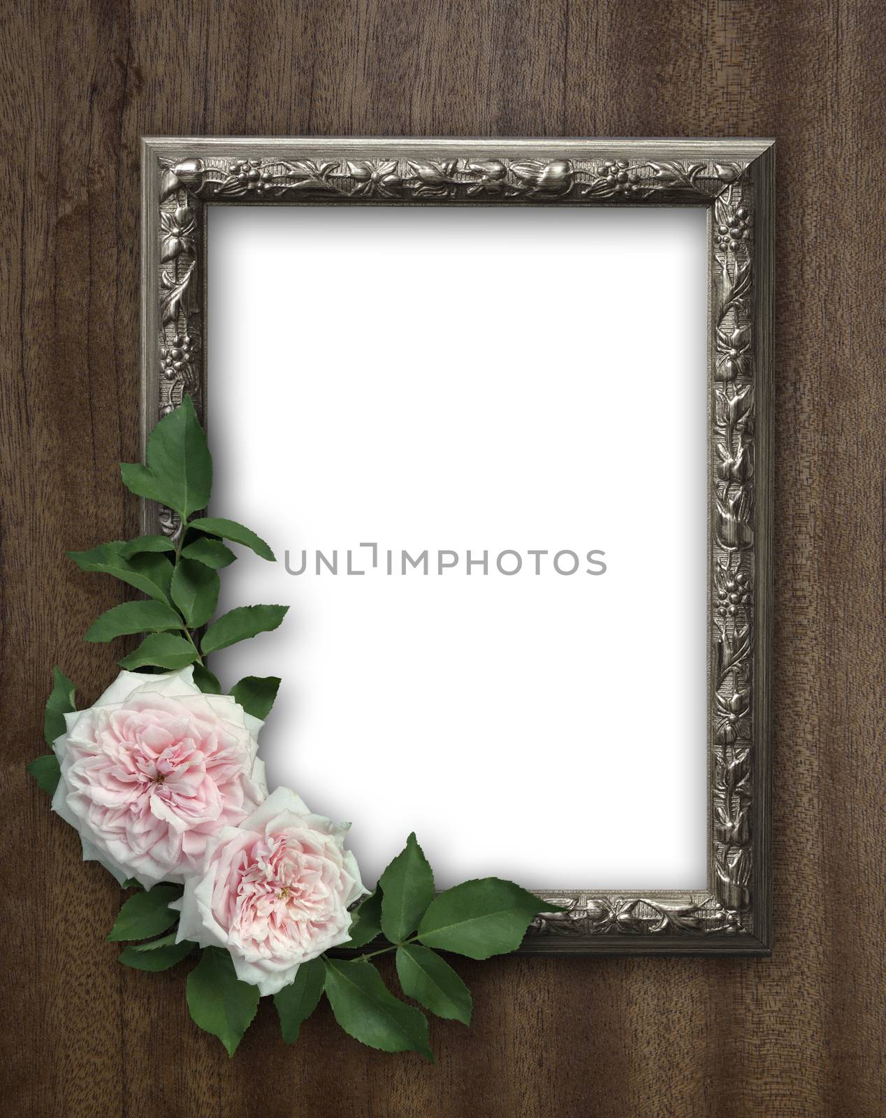 Vintage rose and blank photo frame on old wooden background by ohhlanla