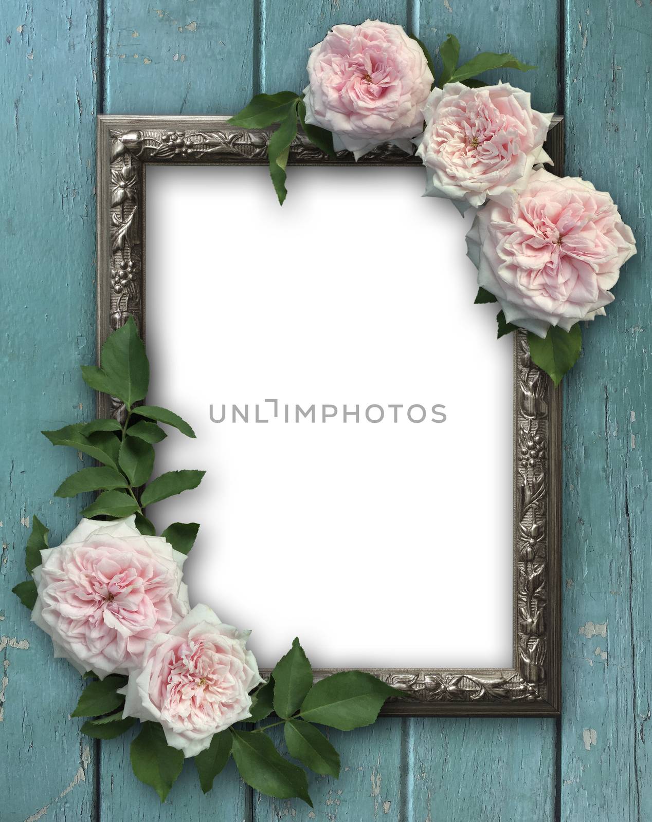 Vintage rose and blank photo frame on old wooden background