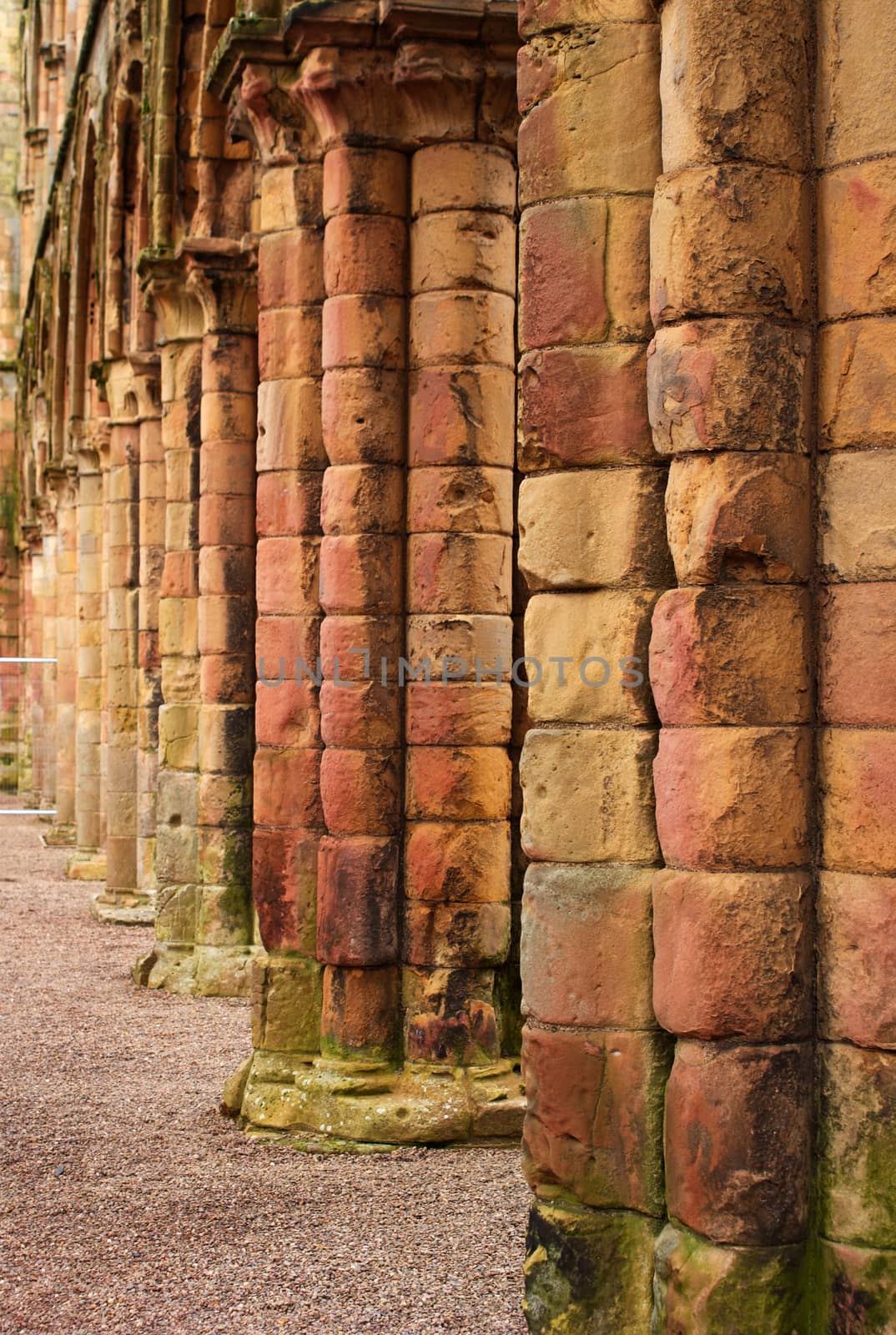 Jedburgh abbey - tourists attraction by javax