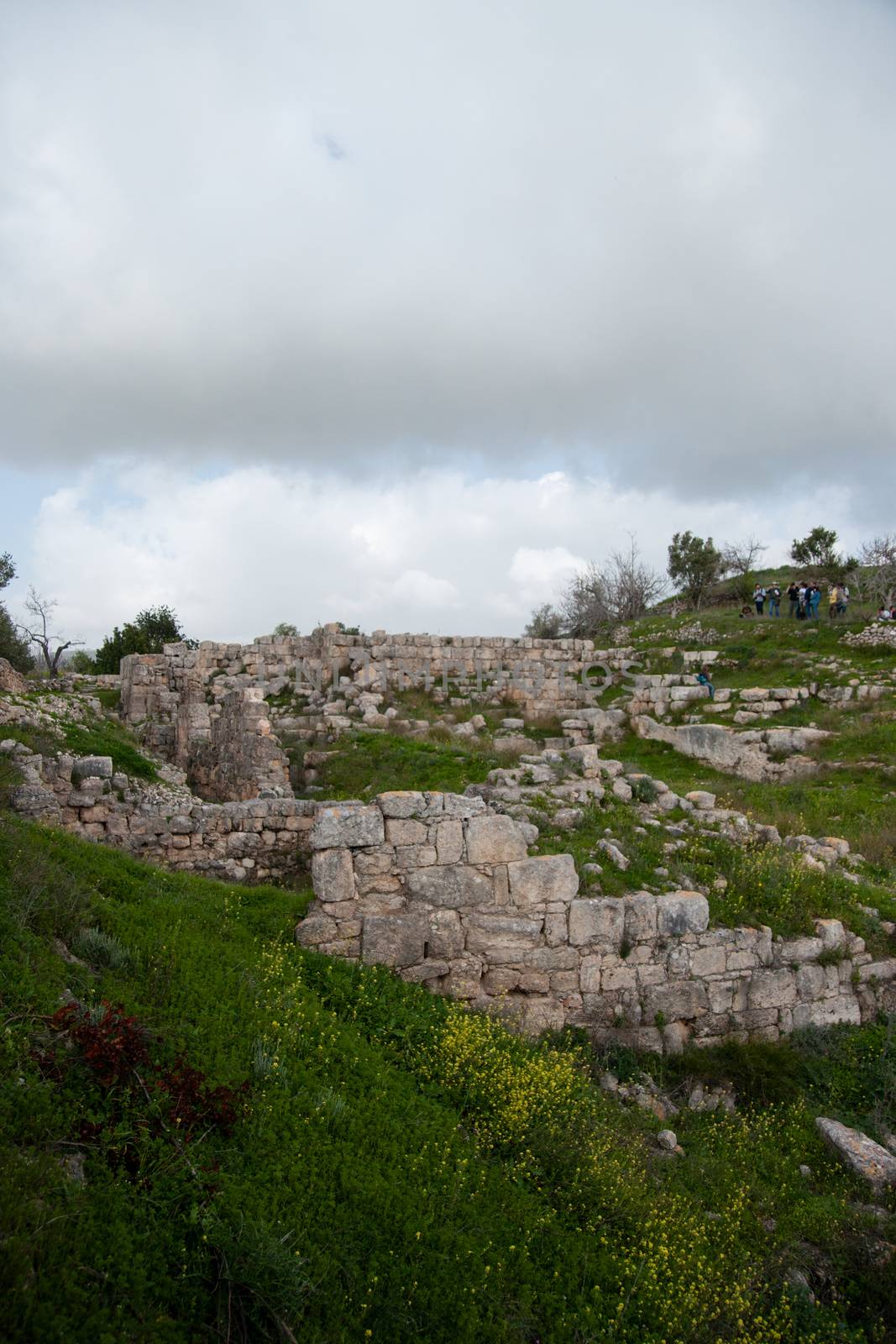 Sebastia ancient israel excavation on palestinian territory