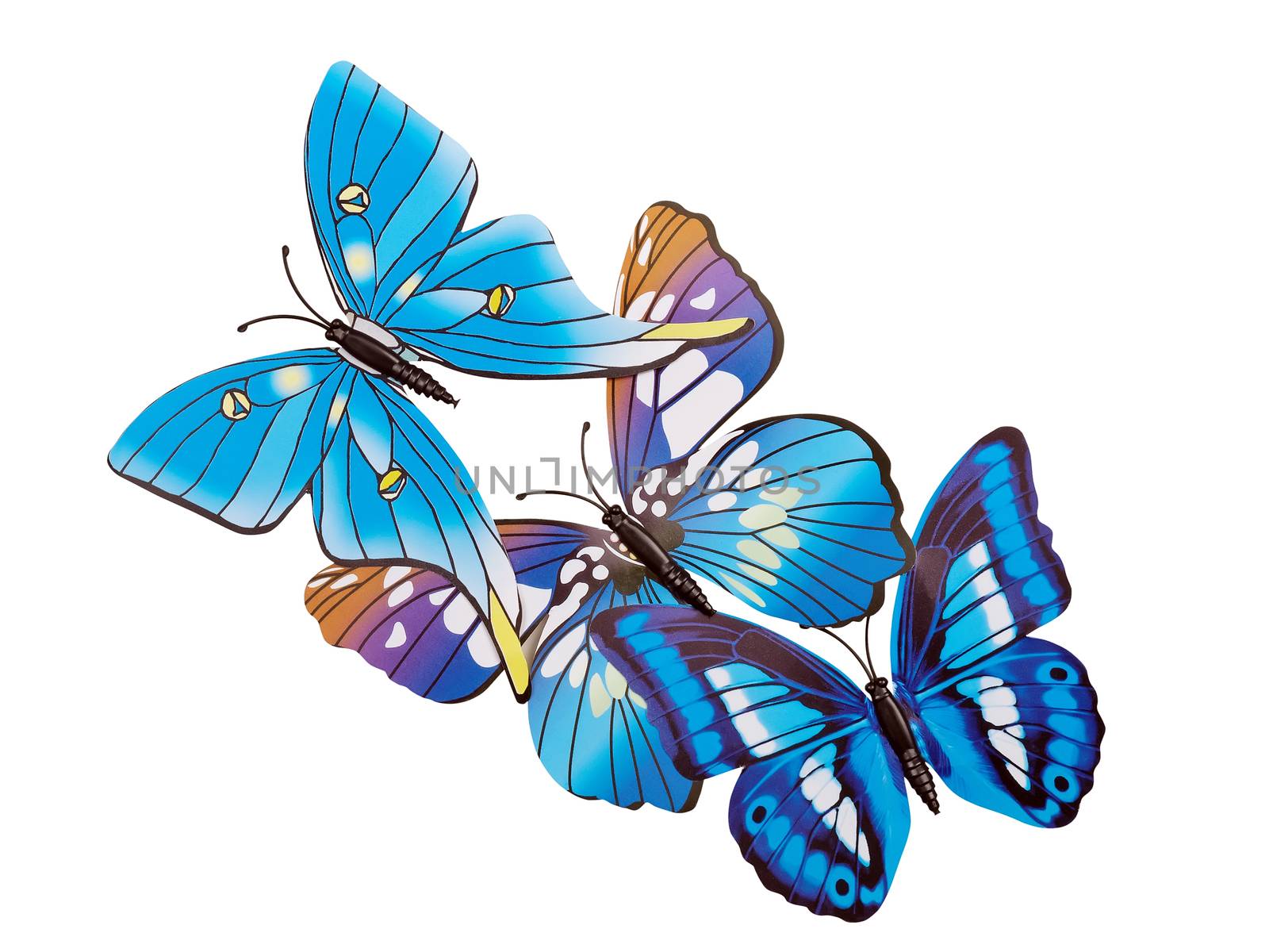 Butterflies wall stickers  by sewer12