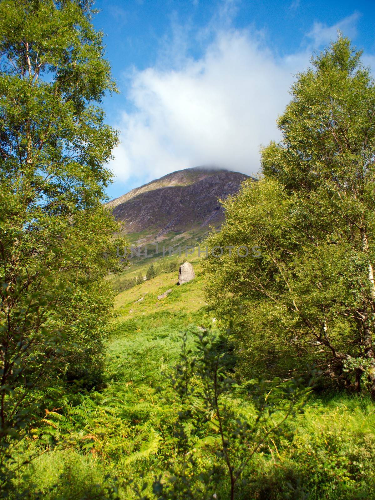 Scotland landscape in highland in tourist season