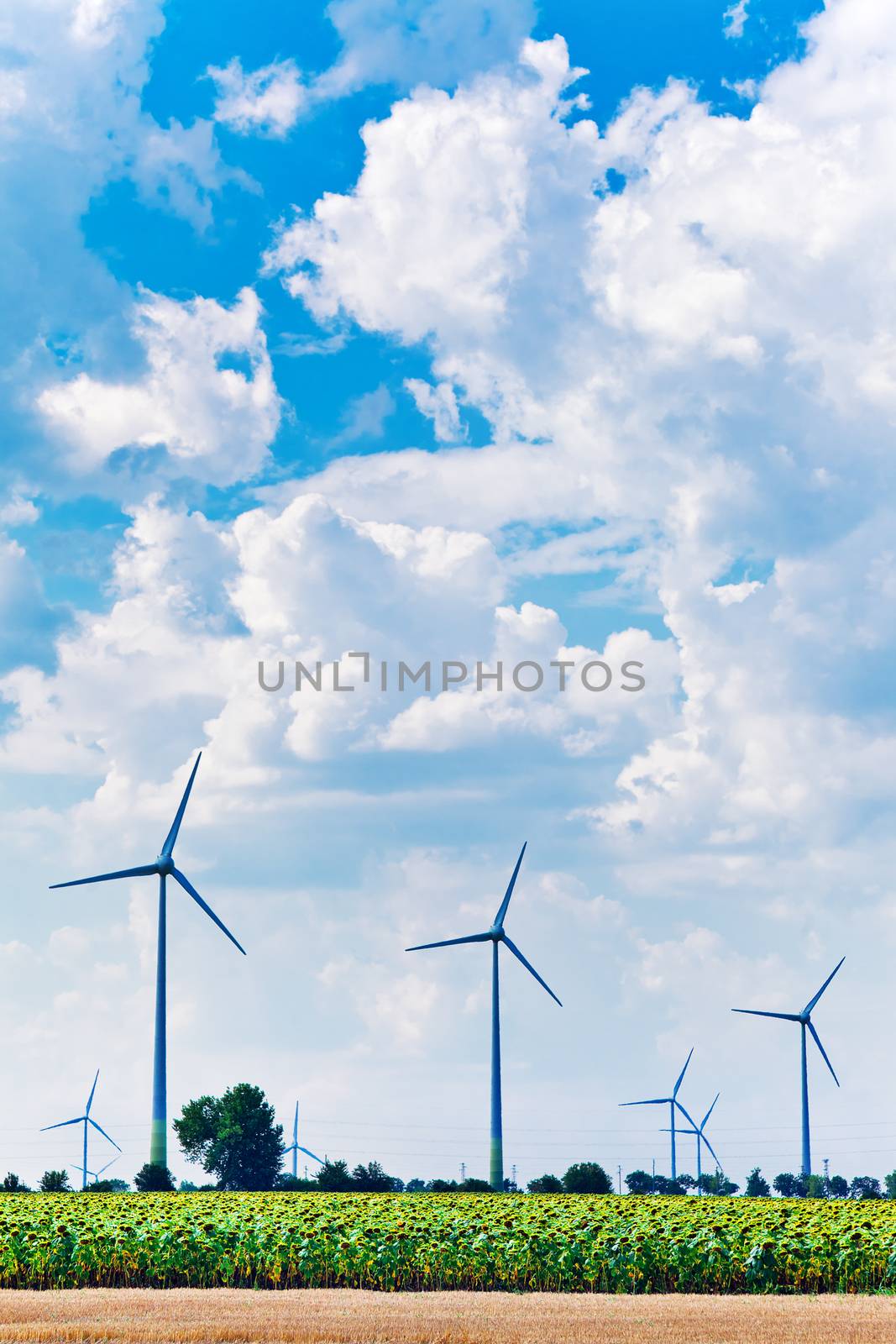 Wind turbine electricity generators installed in the field, under blue sky with white clouds and sunflowers infront. Vertical image.