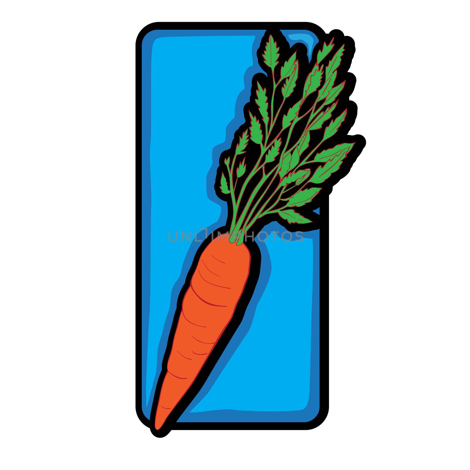 Carrot clip art,doodle hand drawn illustration isolated on white