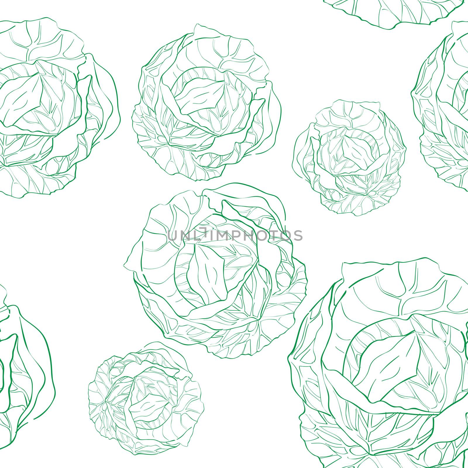 Cabbage seamless pattern, doodle illustration of multiple vegetables isolated on white