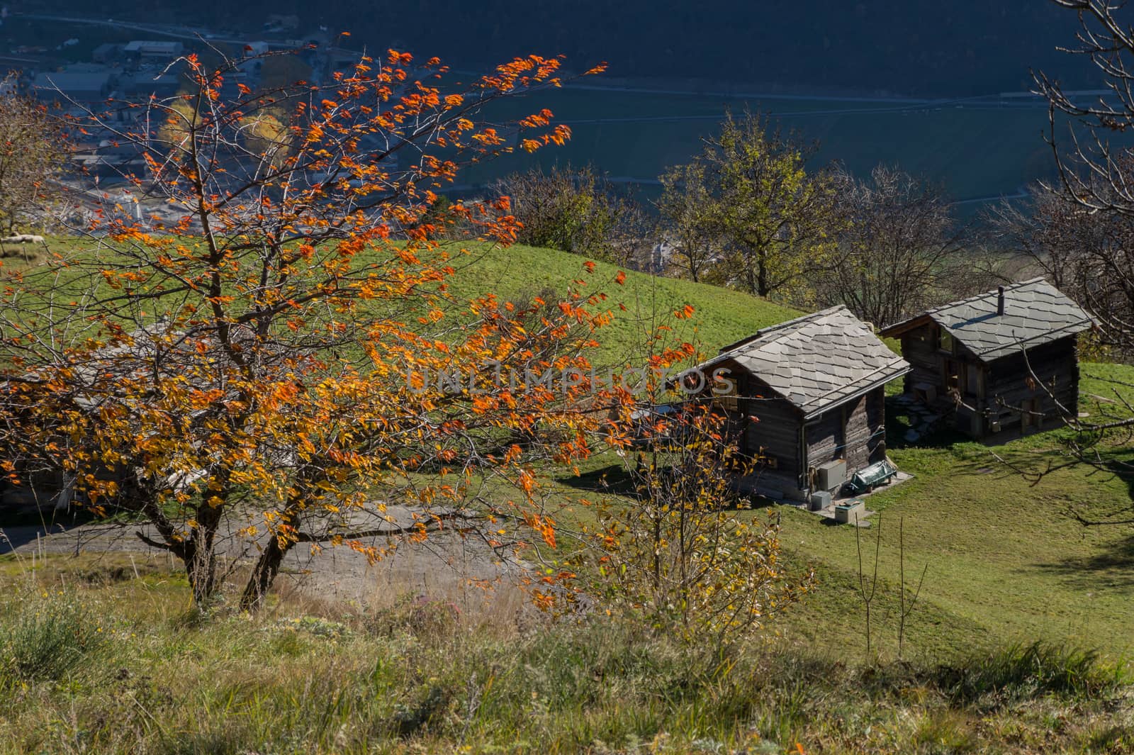 niwarch,ausserberg,valais,swiss