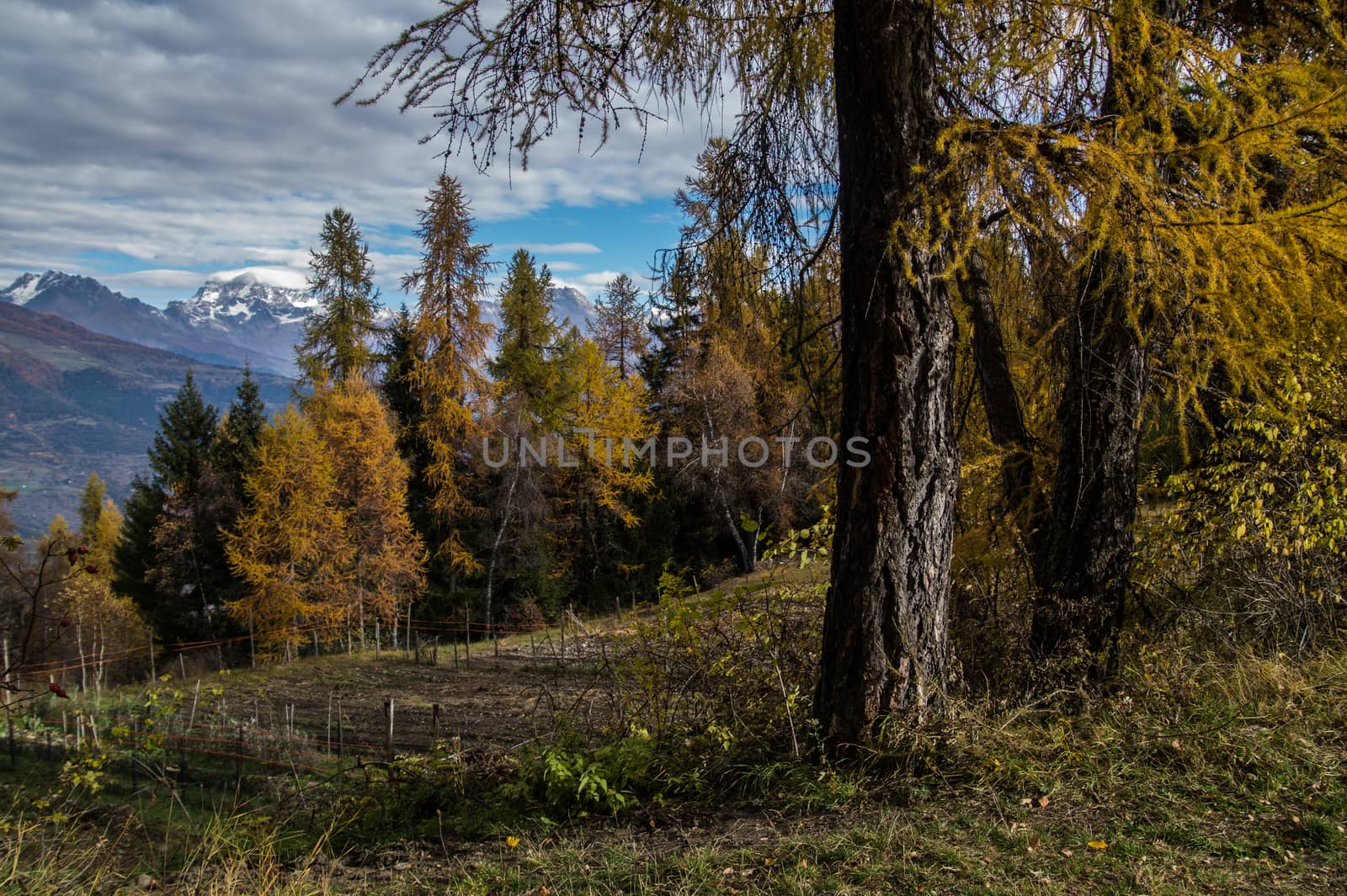 turlin,ozein,val d'aoste,italy