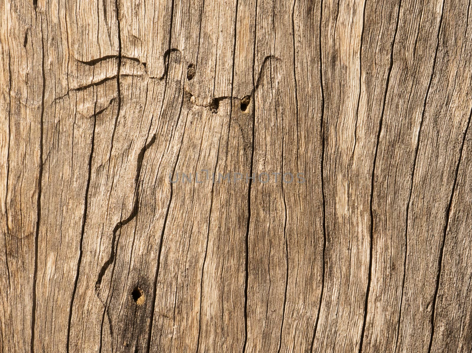 Timber Texture Background by sherj