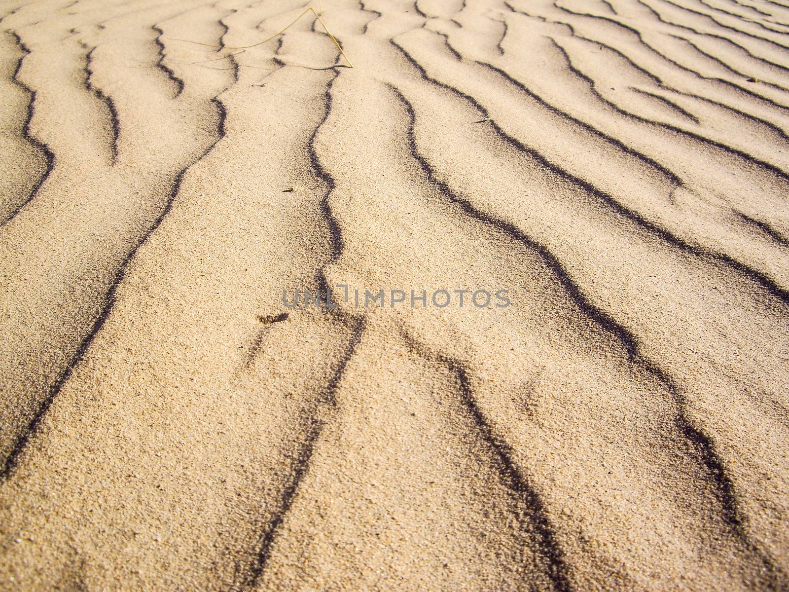 Baking sand in desert of Southwest USA