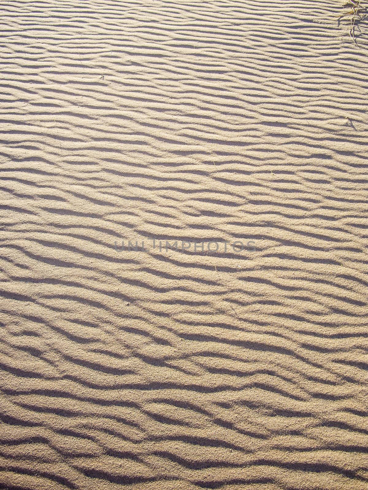 An ocean of sand by emattil