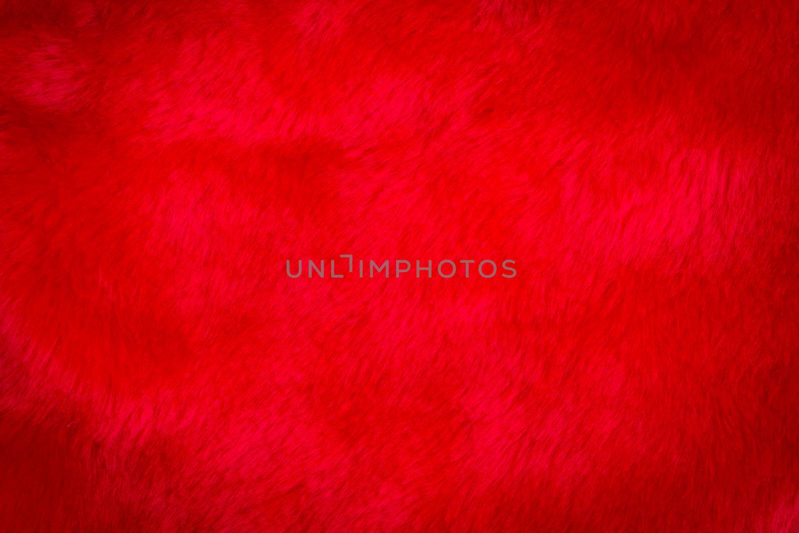 texture of red fur , use for background