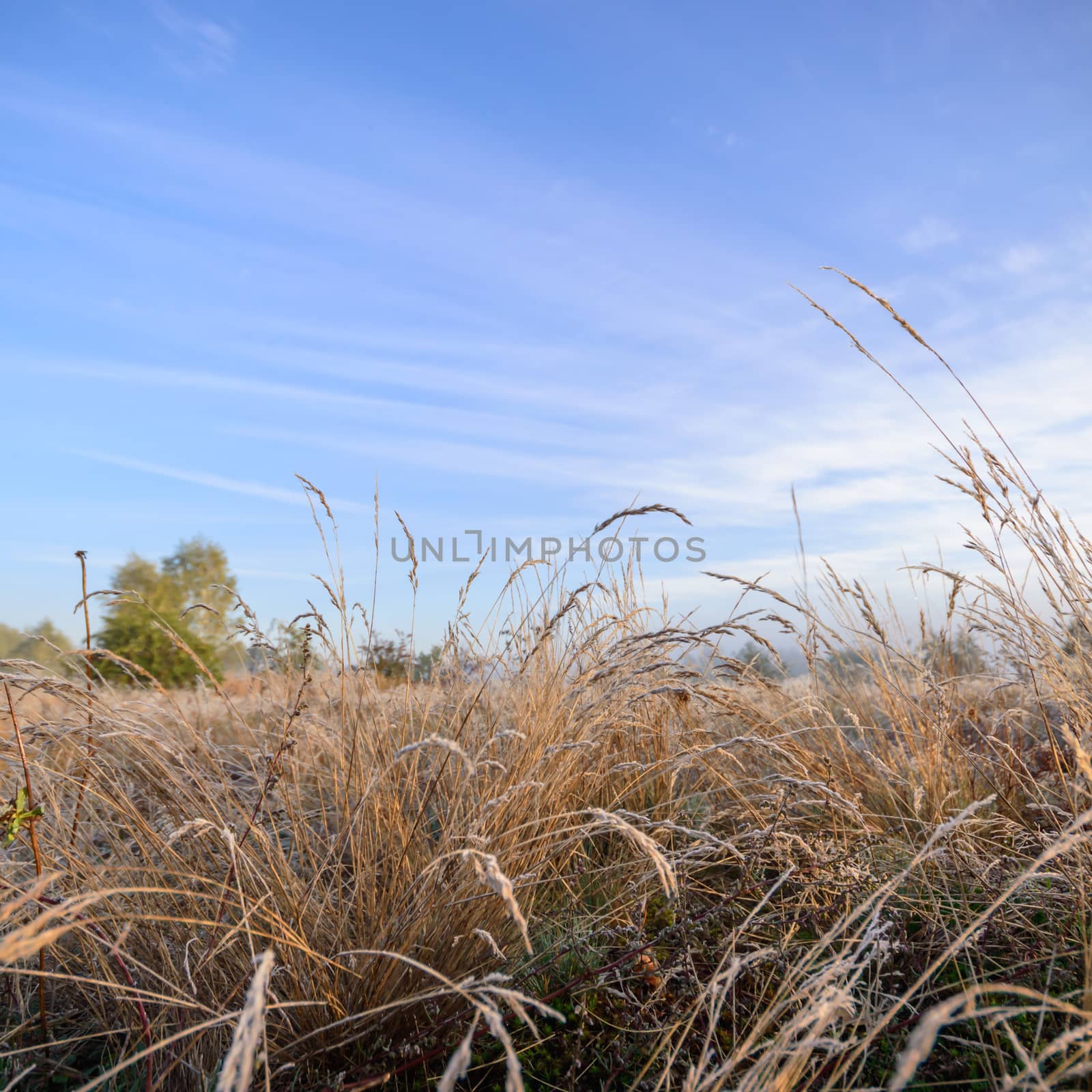 blue sky, natural clouds, nature series