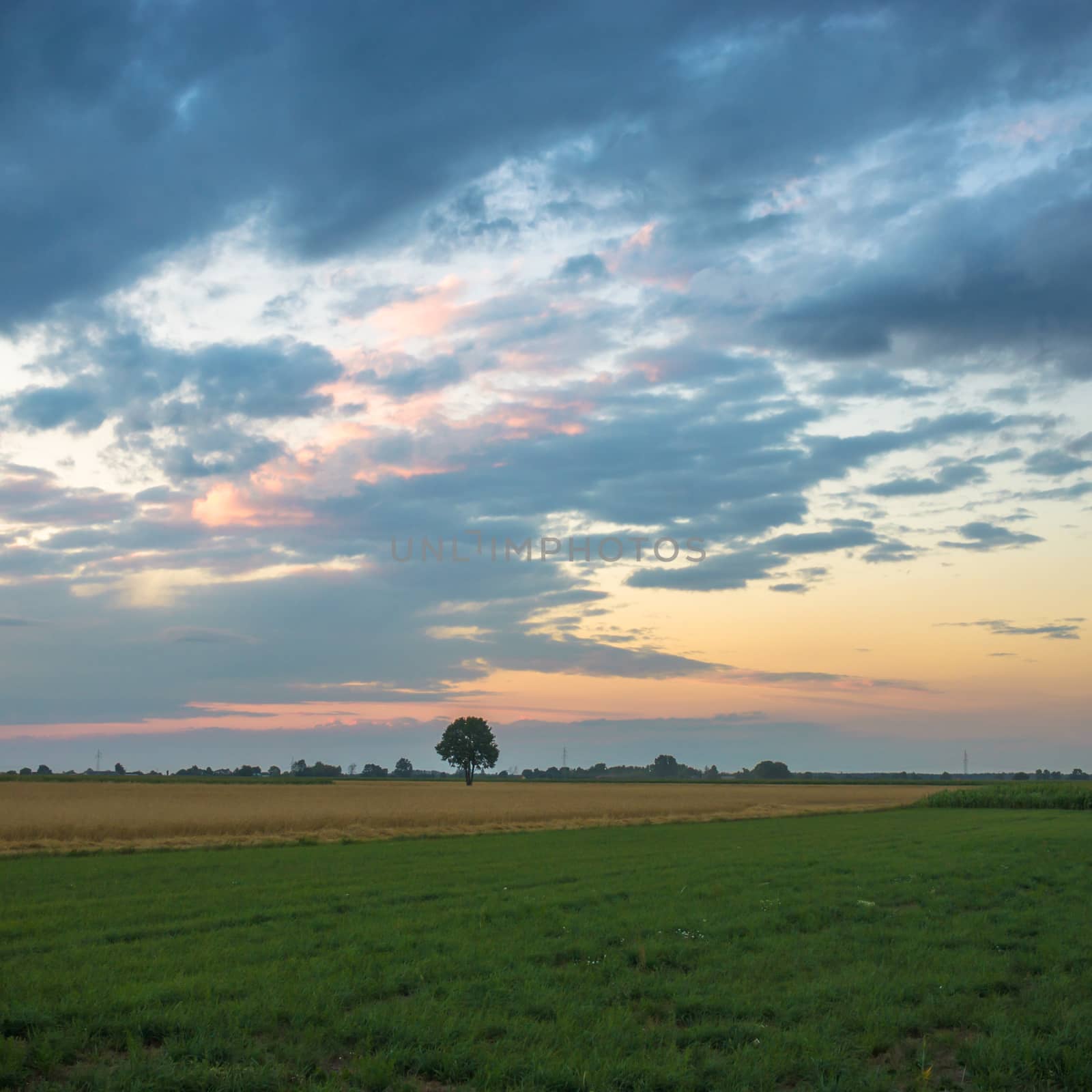blue sky, natural clouds, nature series