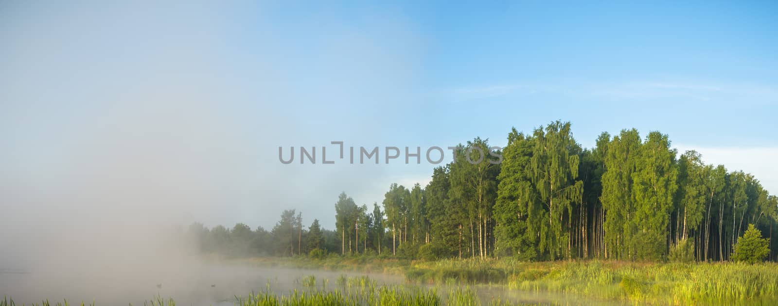 landscape with natural foggy river, nature series