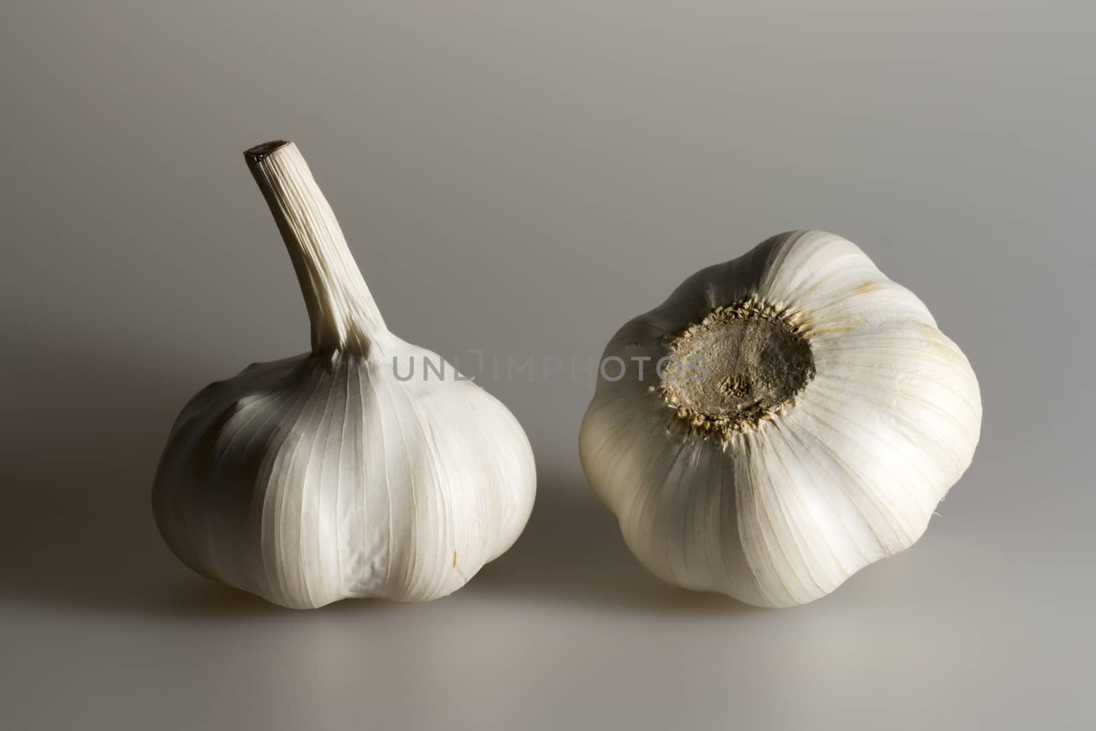 Pair of Garlic Bulbs close up.