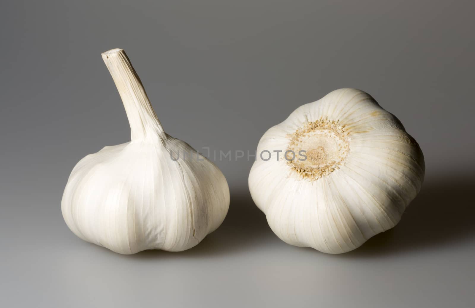 Pair of Garlic Bulbs close up.