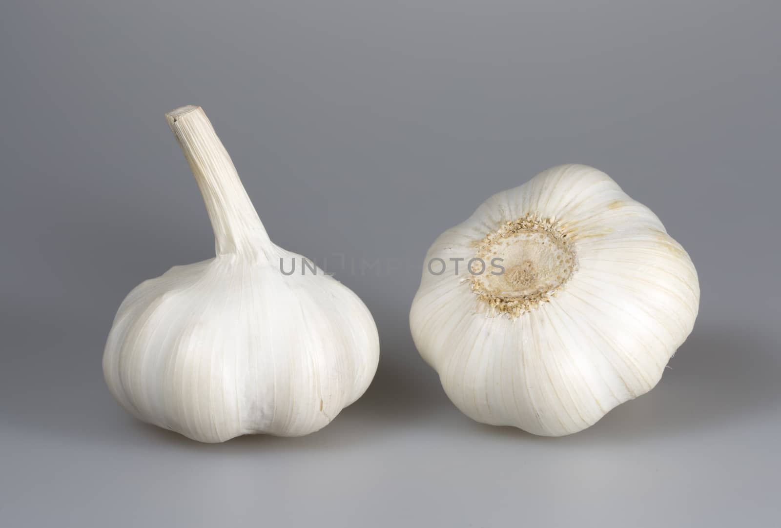Pair of Garlic Bulbs close up.
