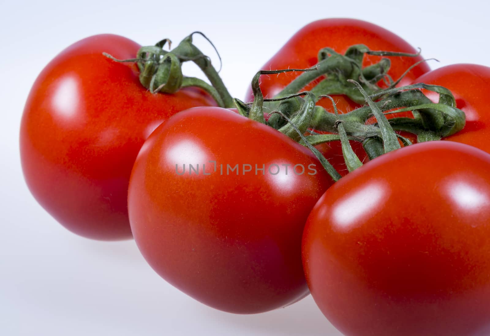 Tomatoes Close Up on white background.