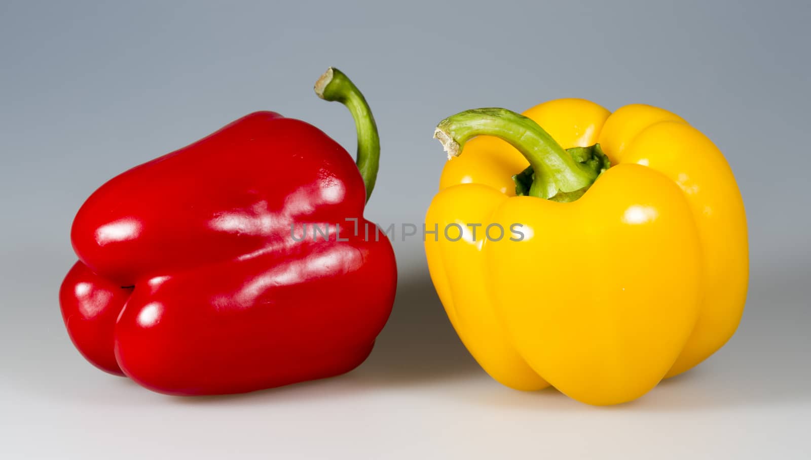 Red and Yellow Bell Pepper close up on grey background.