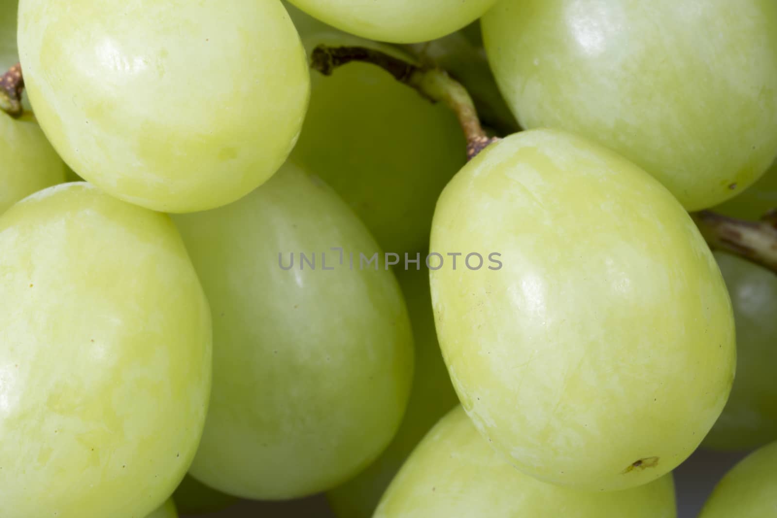 Green Grapes Close Up