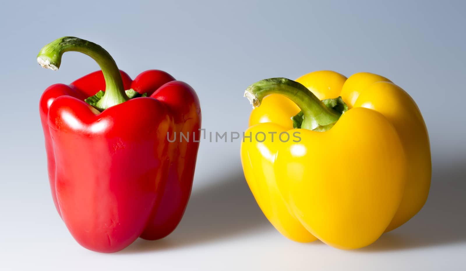 Red and Yellow Bell Pepper close up on grey background.