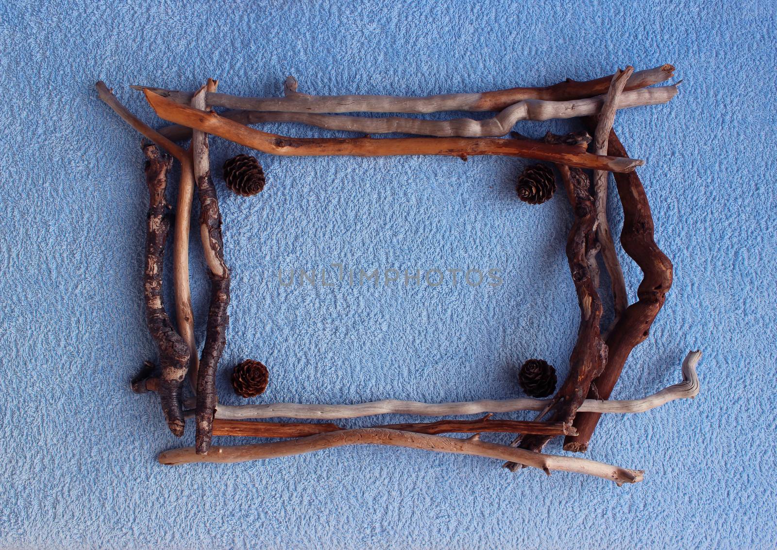 A square frame of larch cones and dry sticks on a blue background.