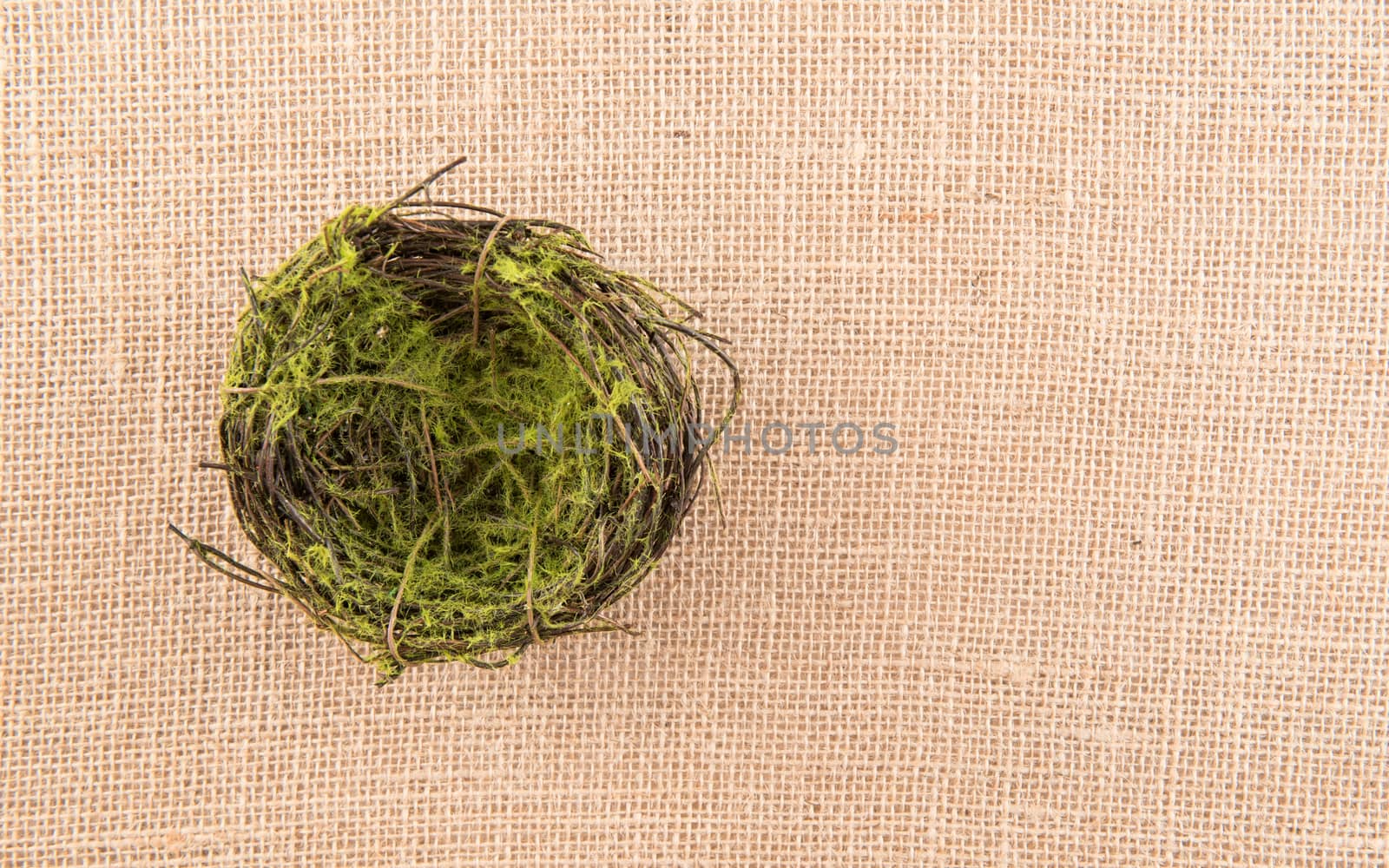 Mossy Bird Nest by krisblackphotography