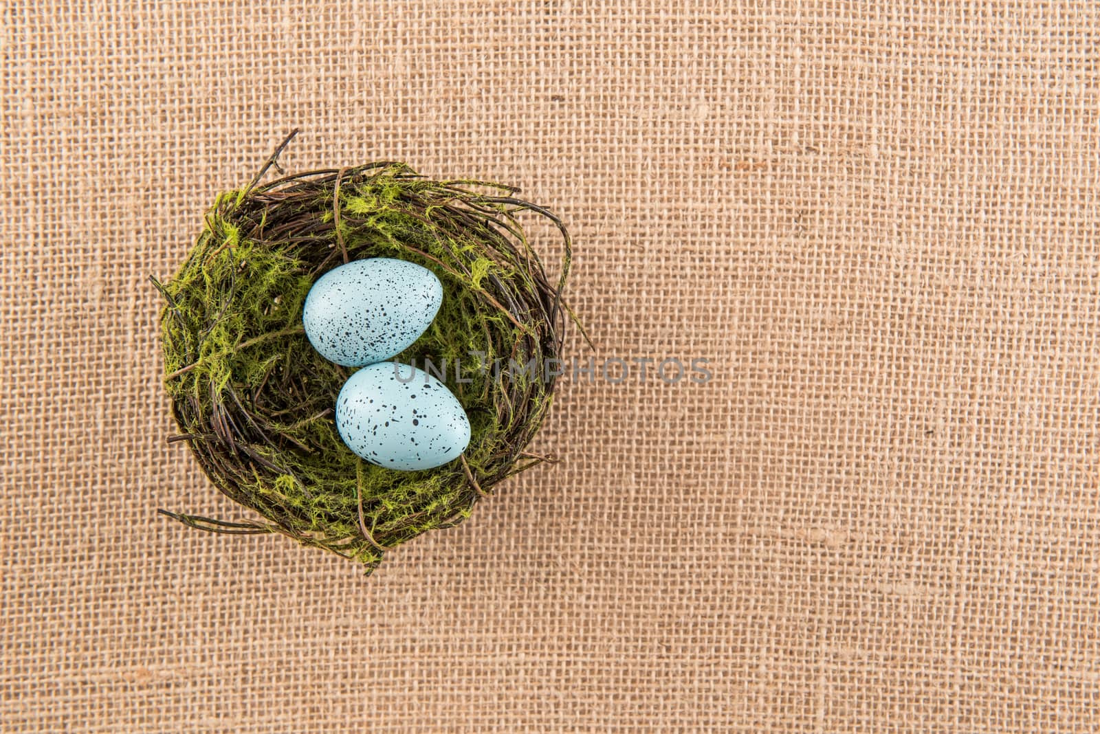 Two blue speckled eggs in mossy nest, on burlap background