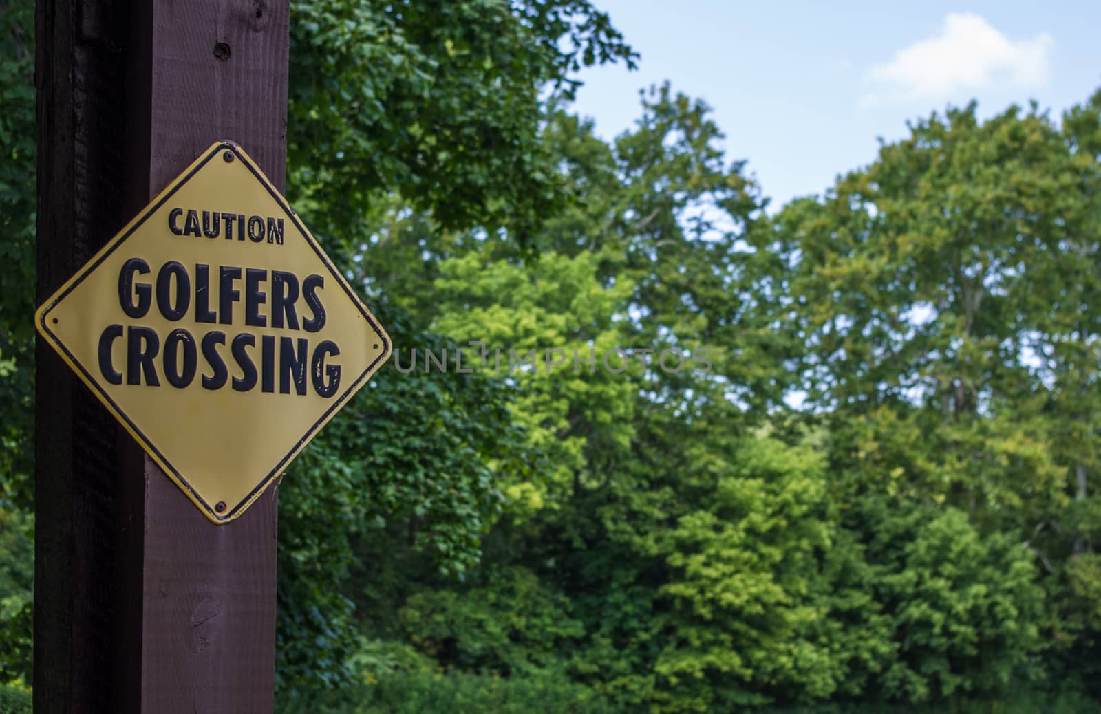 Caution Golfers Crossing Sign by krisblackphotography