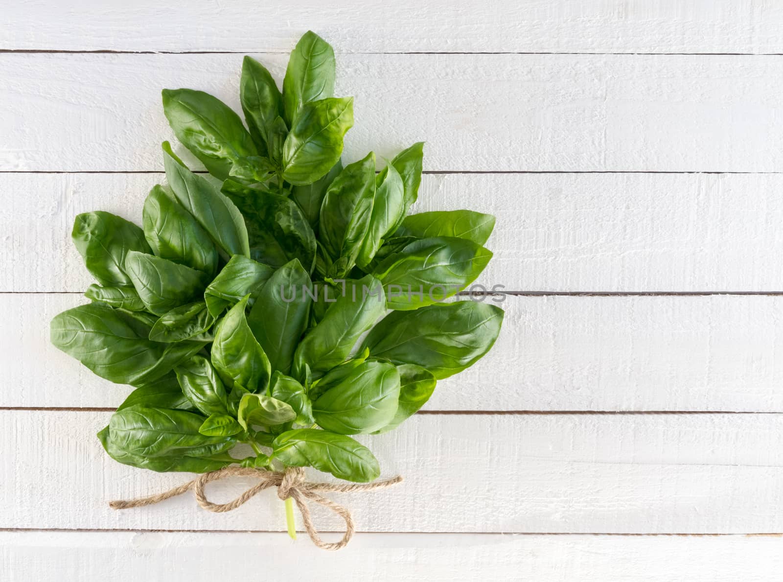 Fresh basil bouquet tied with twine on rustic wood background