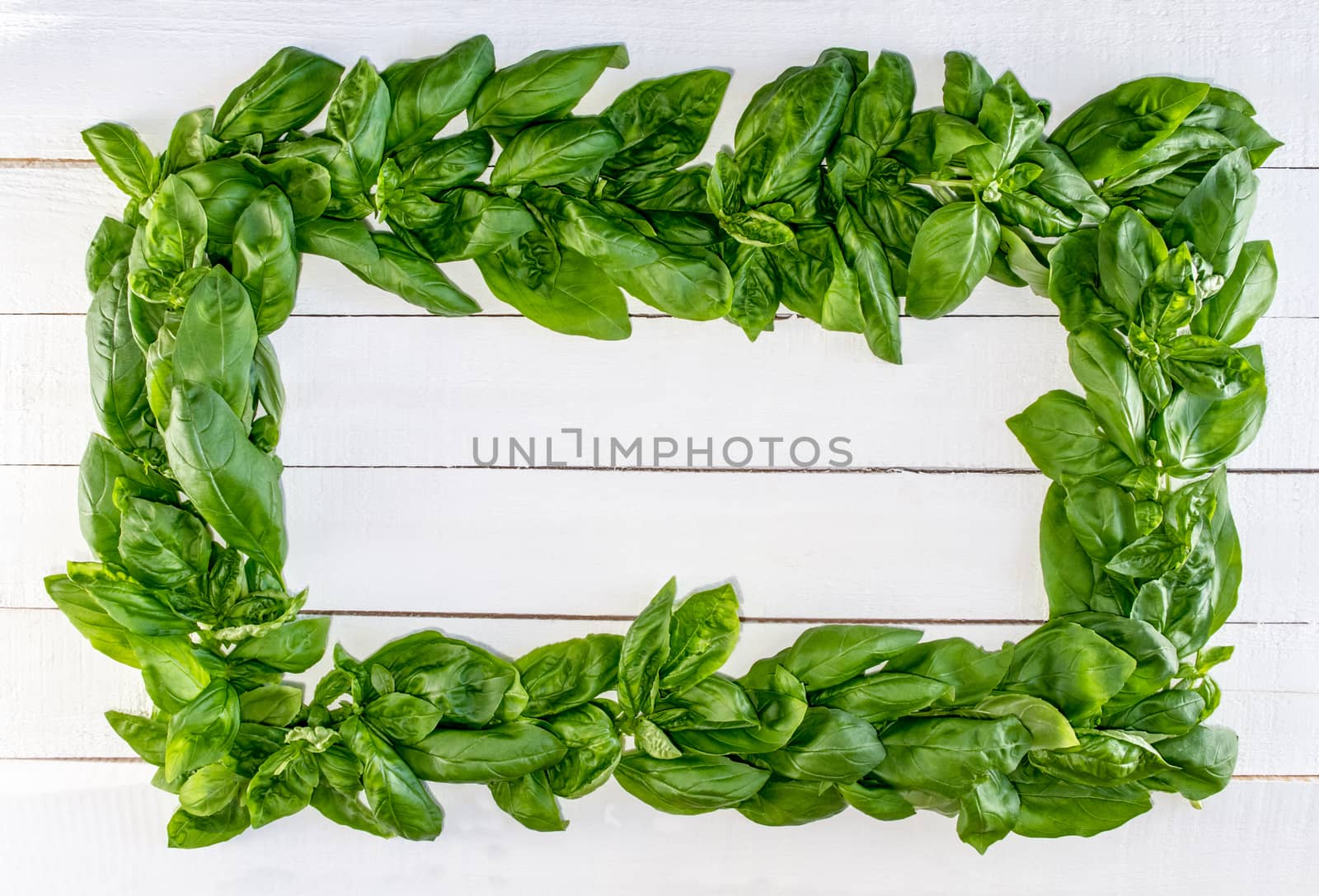 Fresh Basil Wreath by krisblackphotography