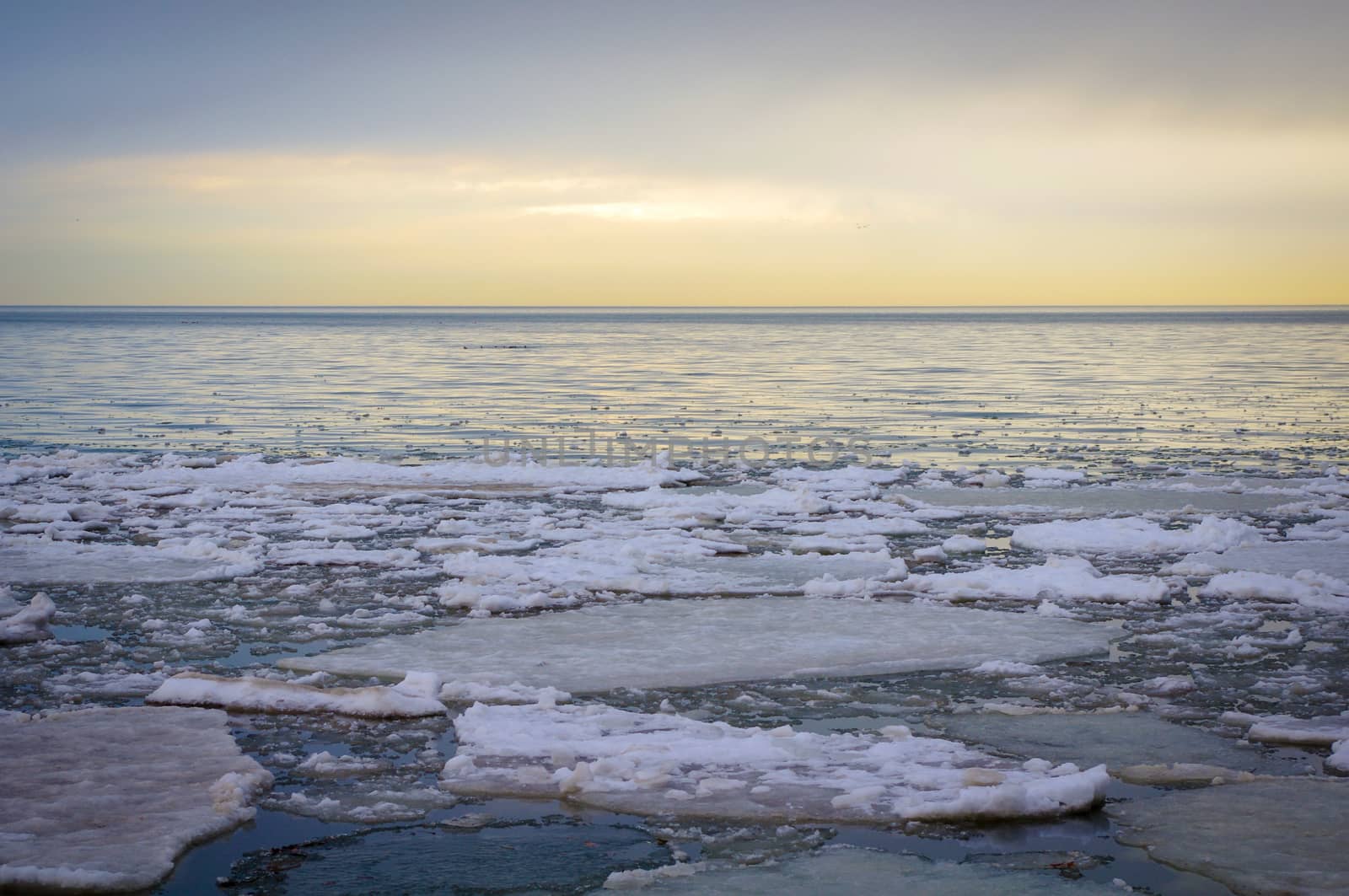 Ice Floes on Lake Erie by krisblackphotography