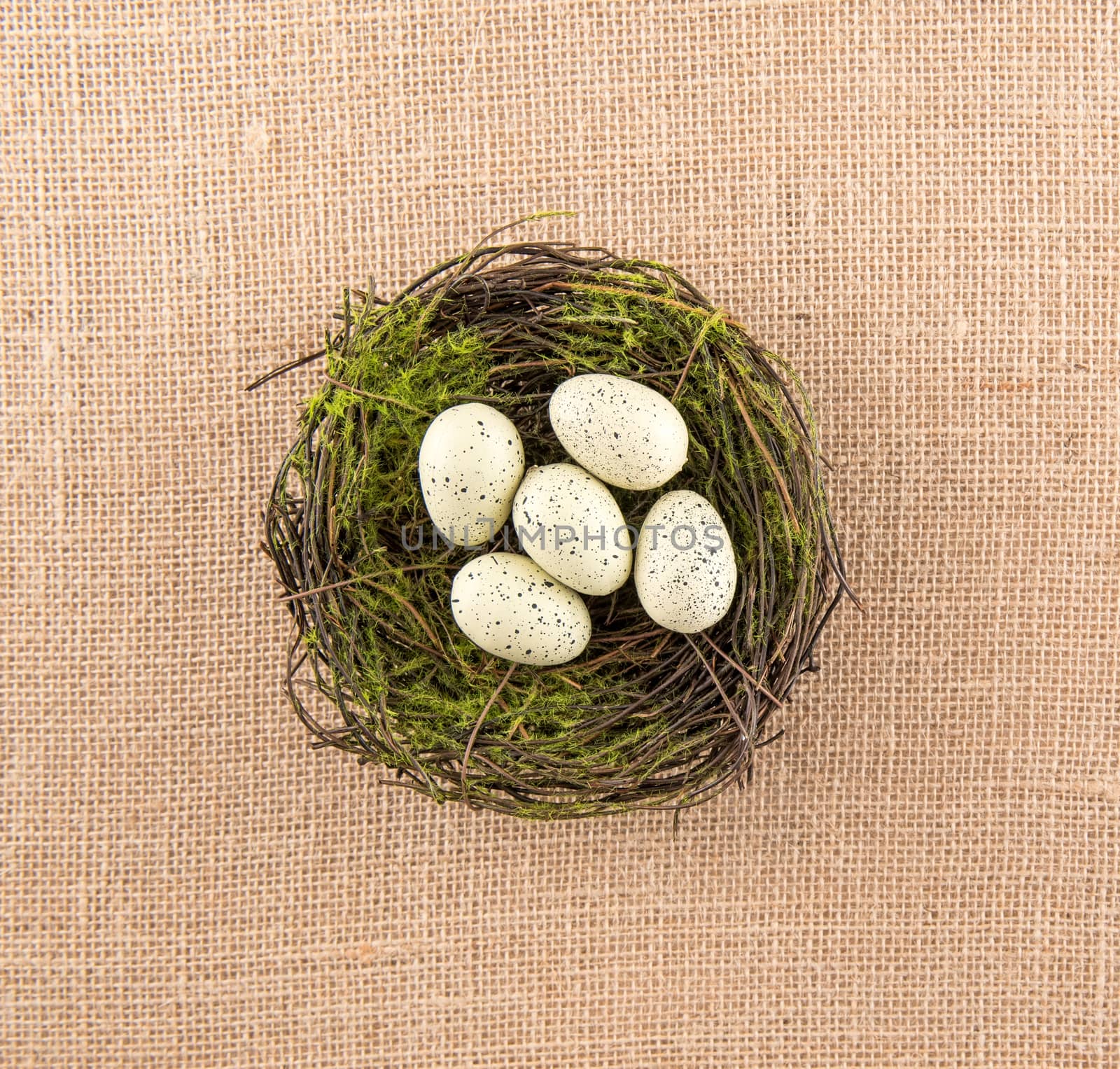 Ivory Speckled Eggs in Nest by krisblackphotography