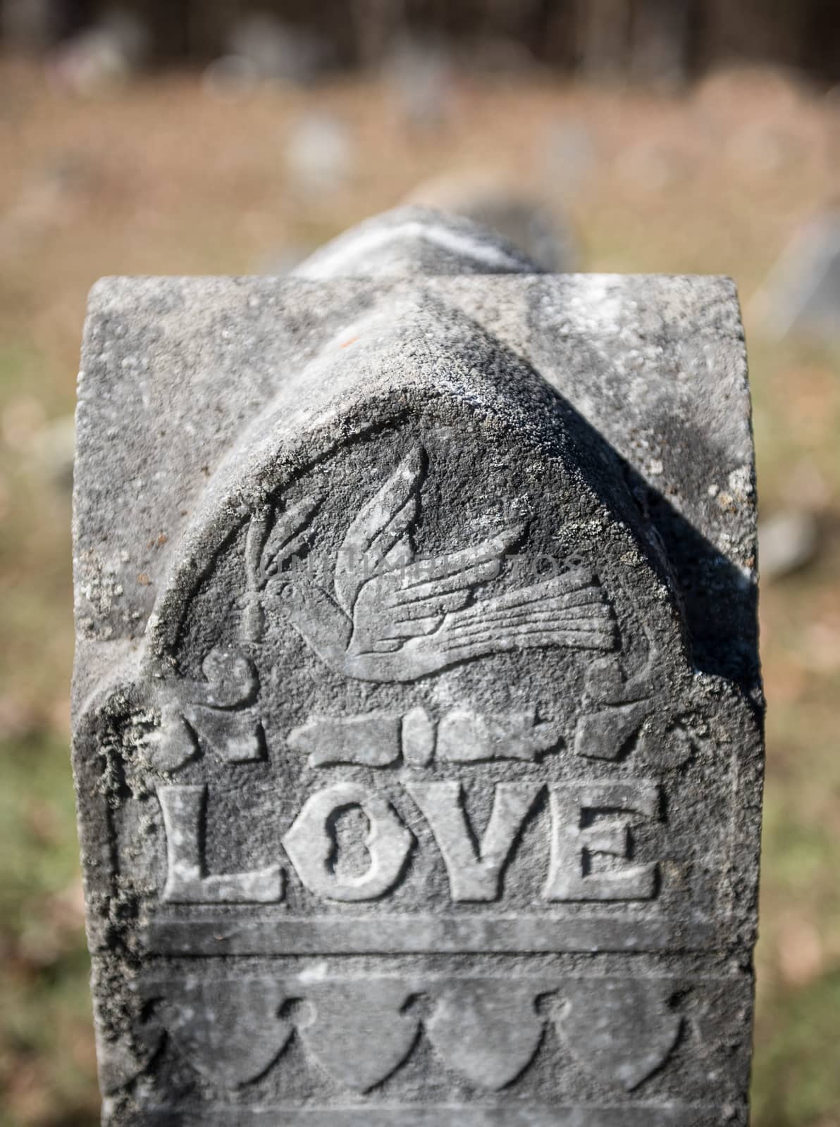Old cemetery headstone with the word "Love" and peace dove