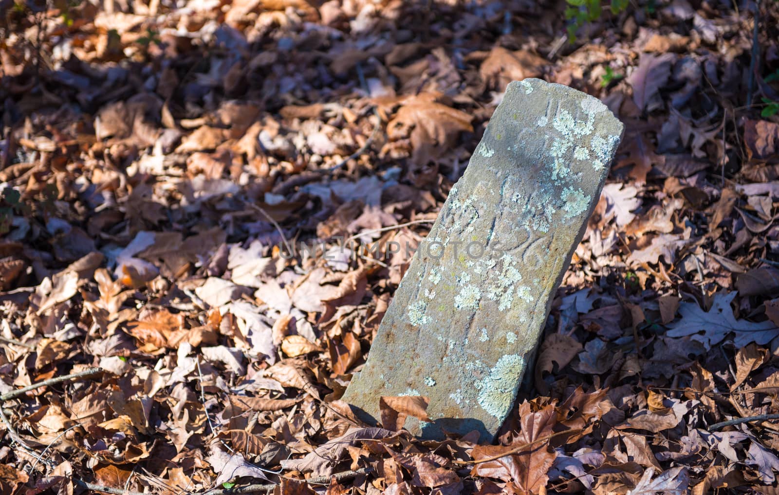 Old Tombstone in Autumn Leaves by krisblackphotography