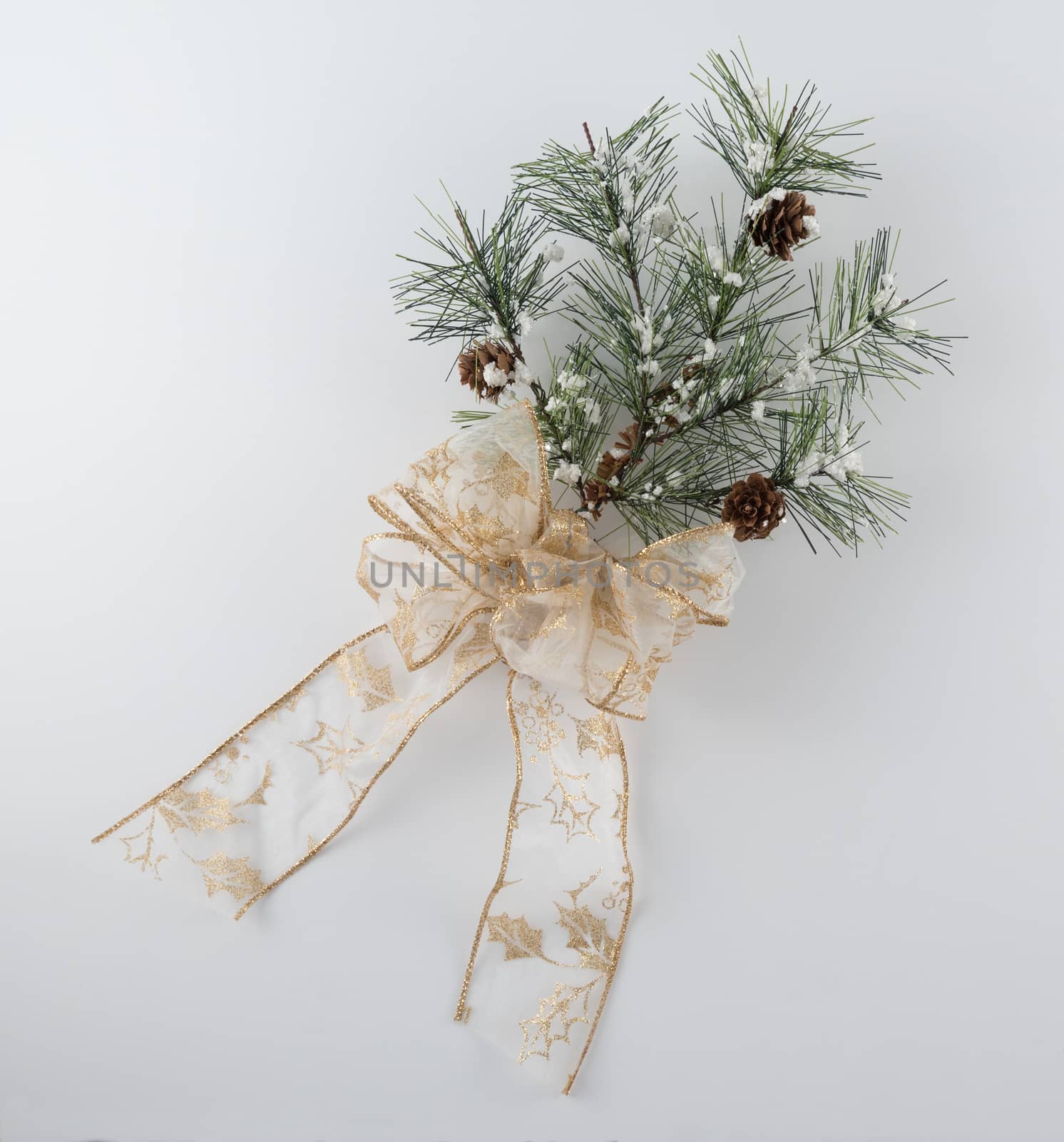 Pine Bough Decoration with Sparkly Gold Bow by krisblackphotography