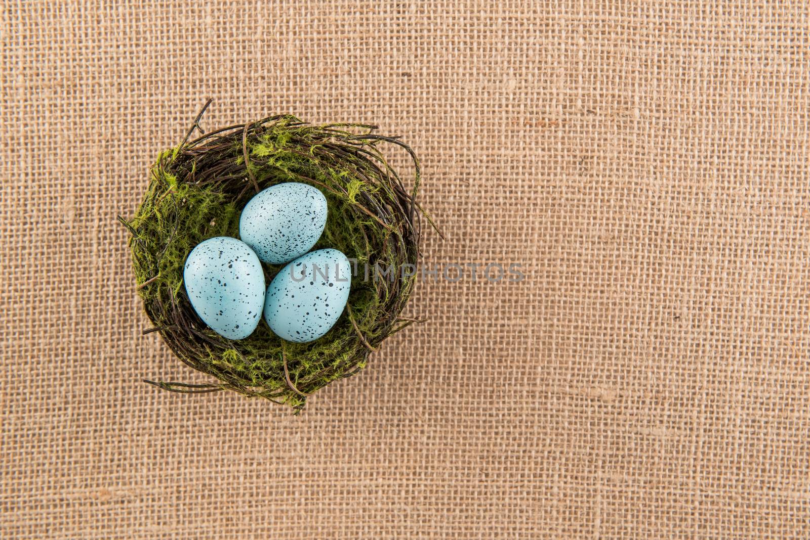 Three blue speckled eggs in nest on burlap background