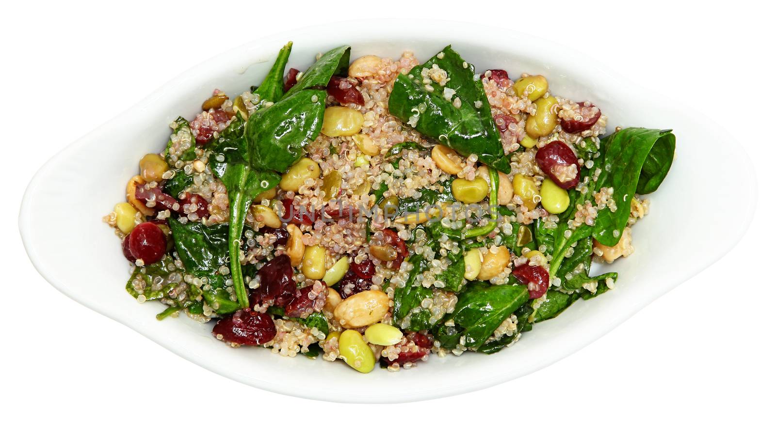 Quinoa Spinach Cranberry Salad Isolated by duplass