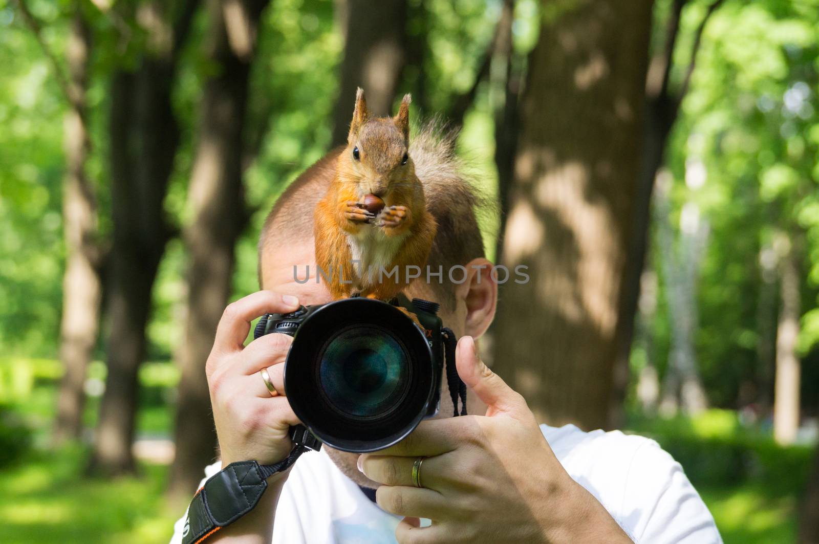 photographer with a squirrel by AlexBush