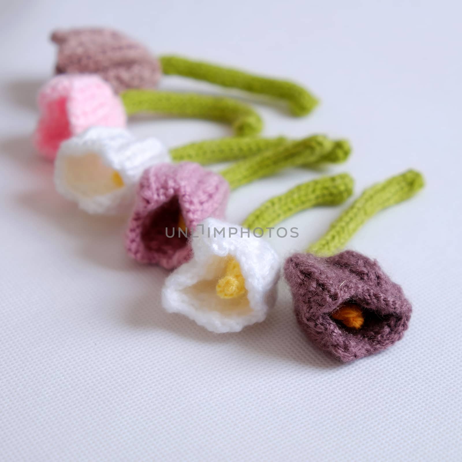 knit, knitting, knitted, yarn, wool, handmade, hand made, homemade, home made, flower, flowers, tulip, tulips, art, colorful, floral, flora, vietnam, viet nam, vietnamese, spring, spring flowers, bouquet, woman day, mothers day, springtime, decor, home, ornament, tet, lunar new year, hobby, diy, meaningful, abstract, leisure, color, colour, woolen, white background, background, white, product, gift