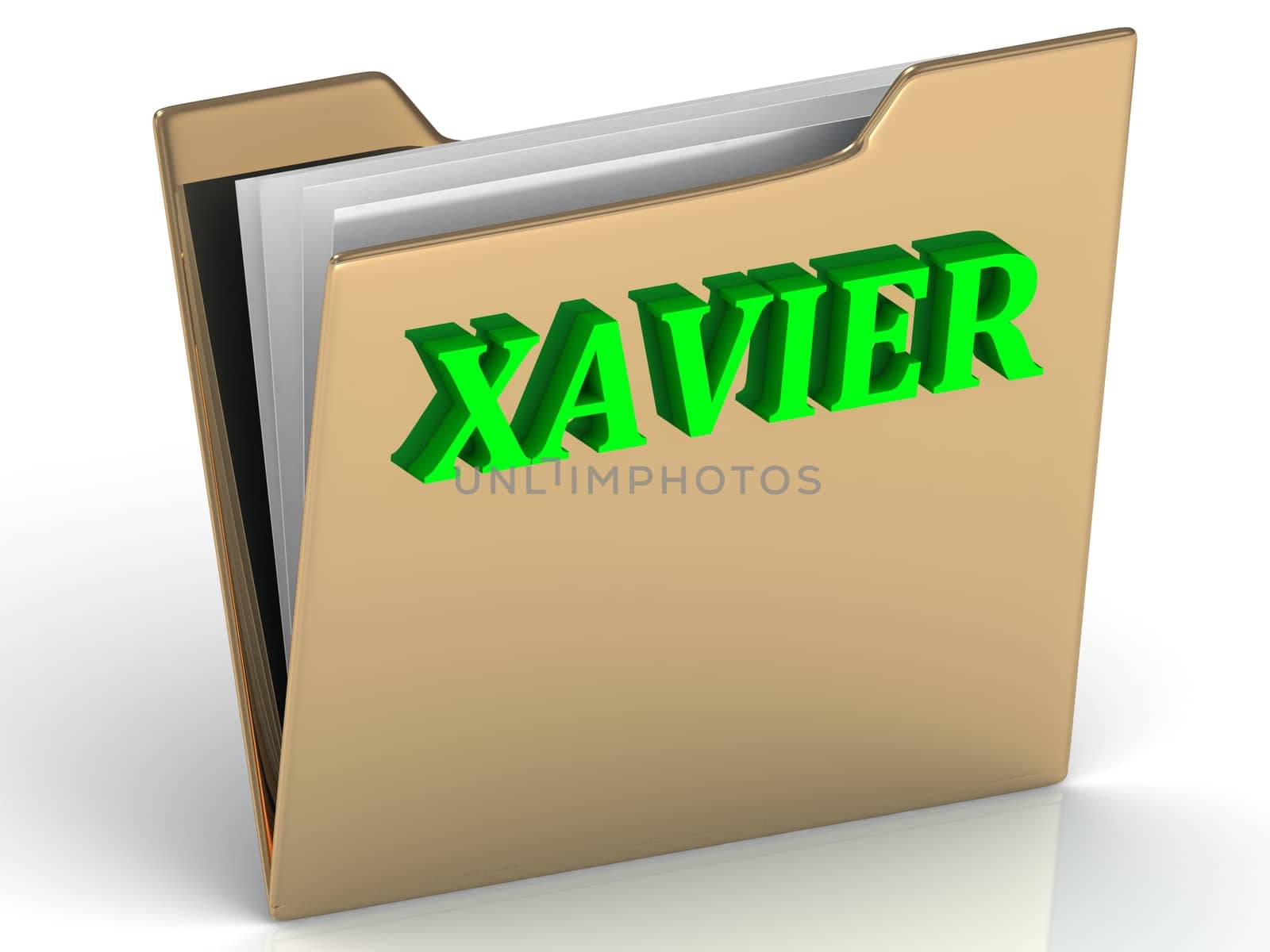 XAVIER- bright green letters on gold paperwork folder by GreenMost