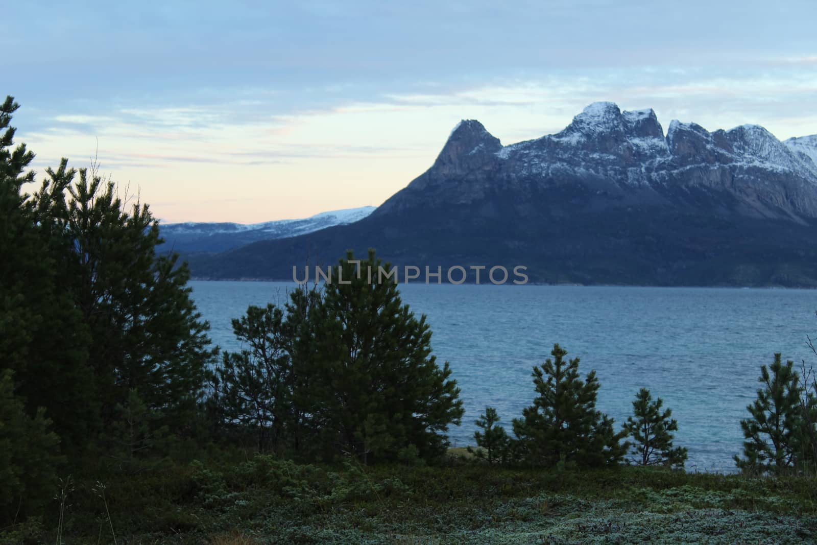 views Arctic landscape