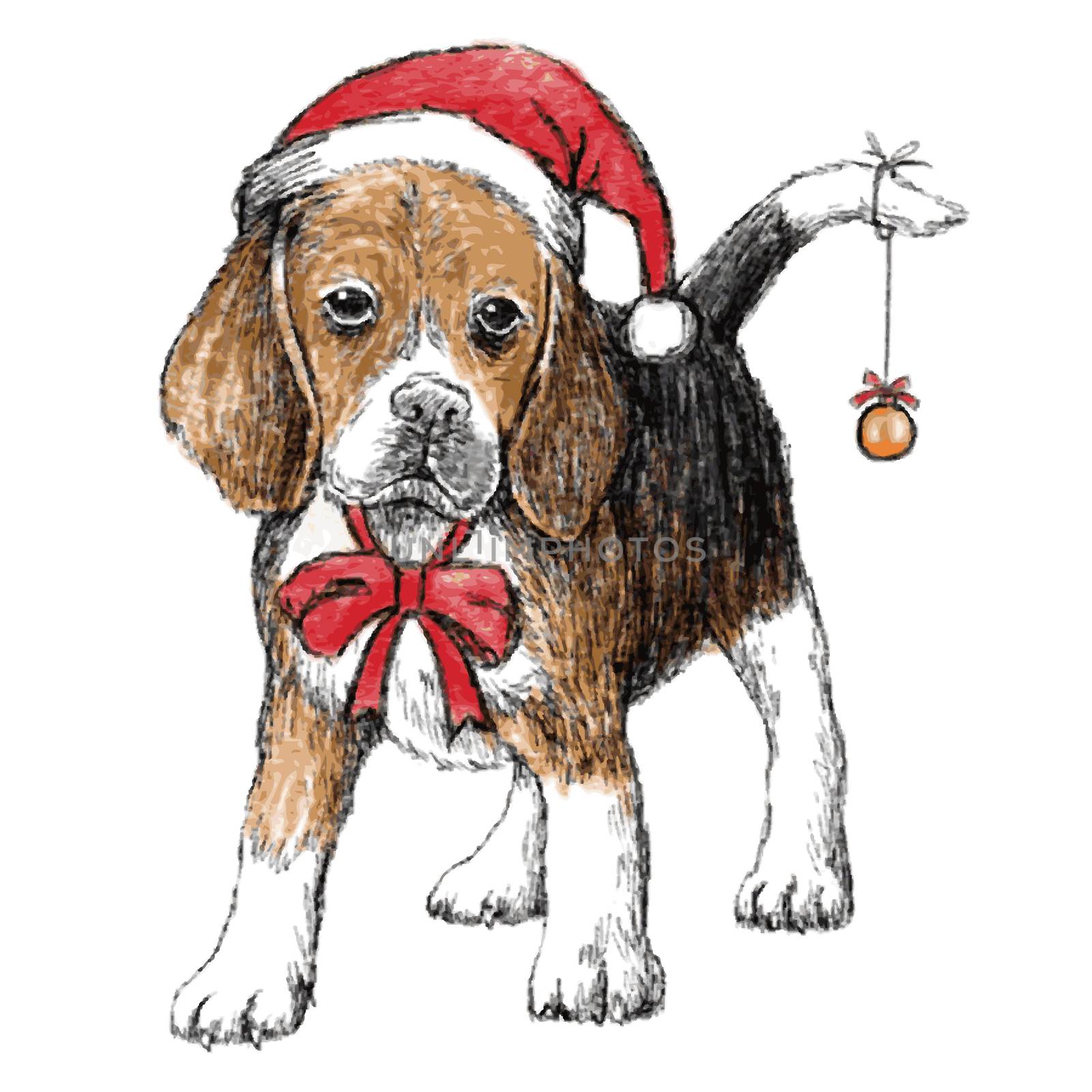 hand drawn vector of beagle with christmas hat on white background