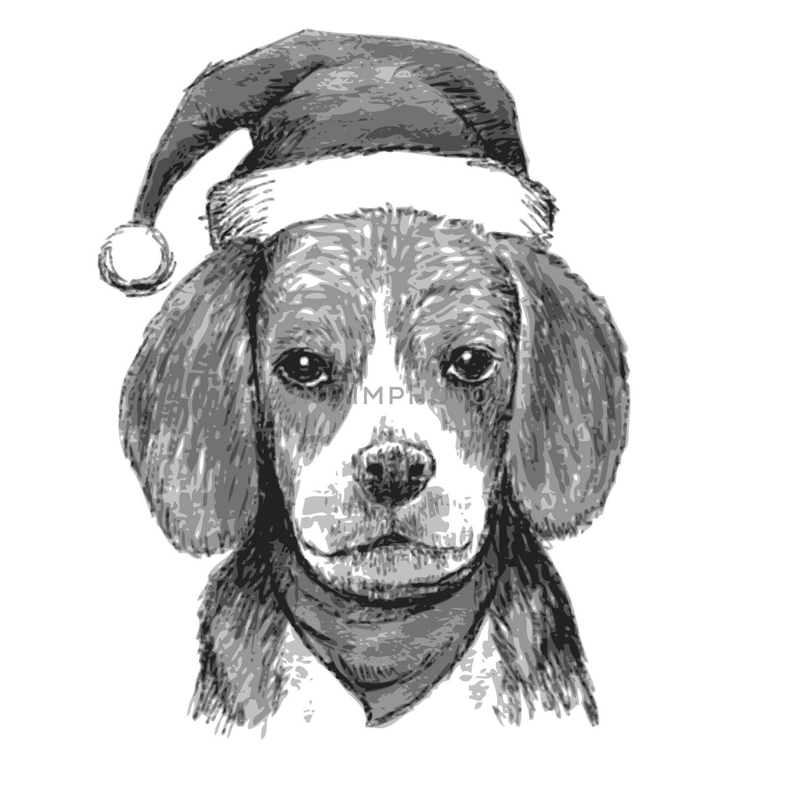 beagle with christmas hat  by simpleBE