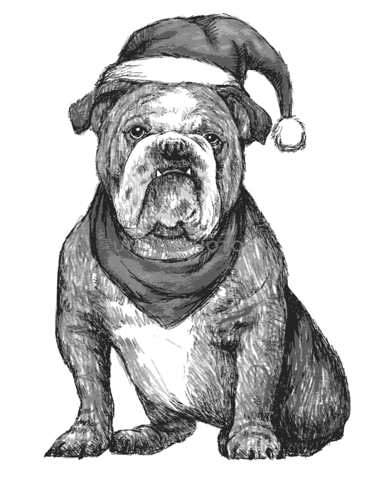 hand drawn vector of bulldog with christmas hat on white background
