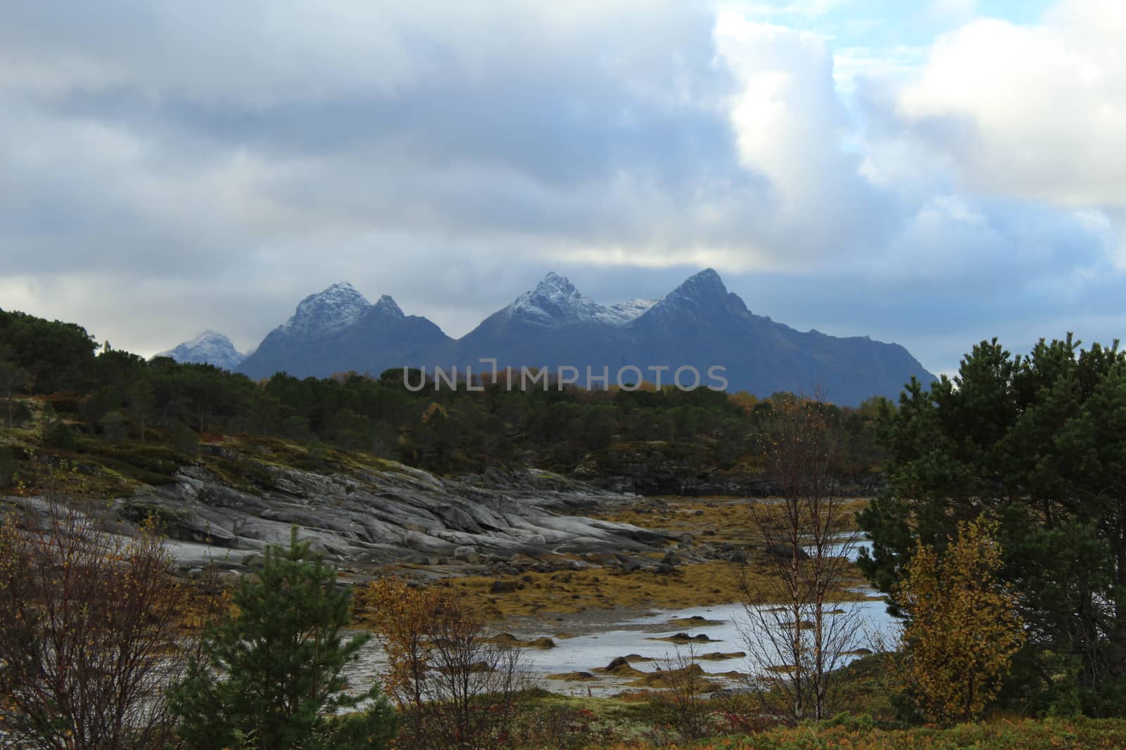 Arctic landscape, Nordland