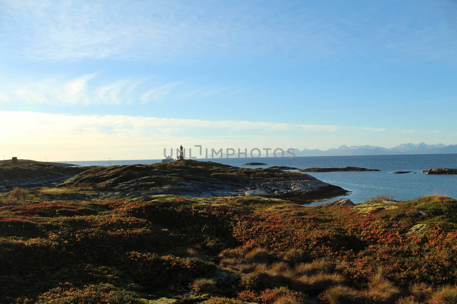 Arctic landscape, Nordland