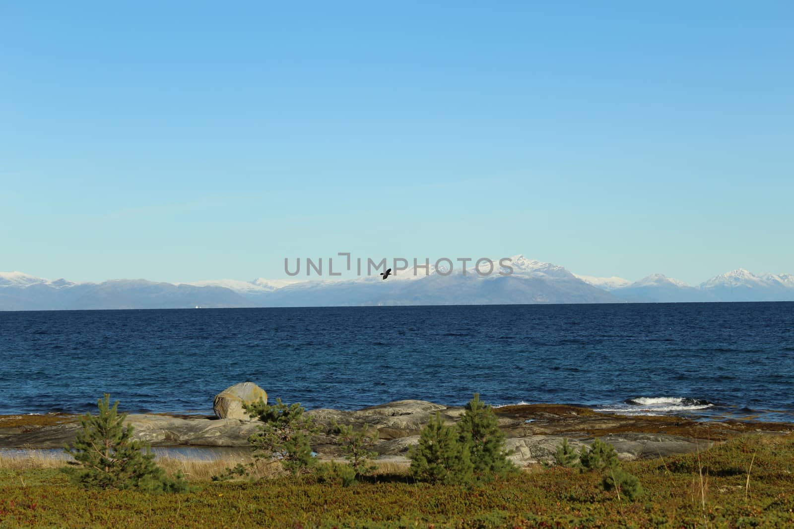 Arctic landscape, Nordland