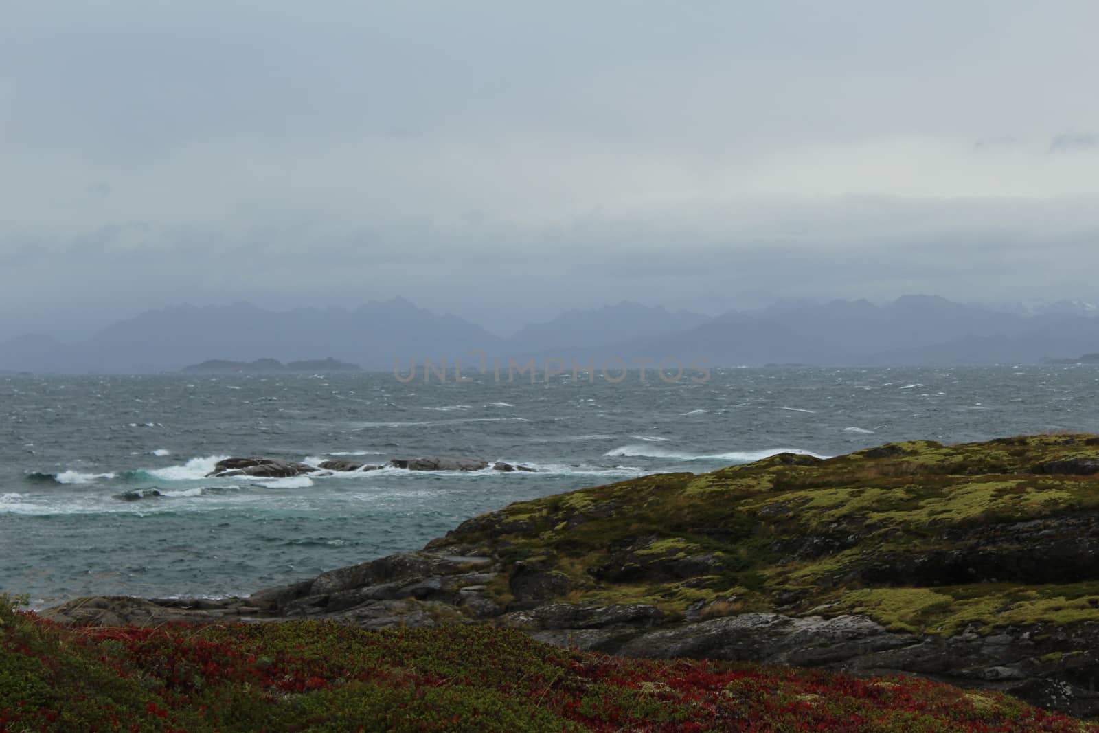 Arctic landscape, Nordland
