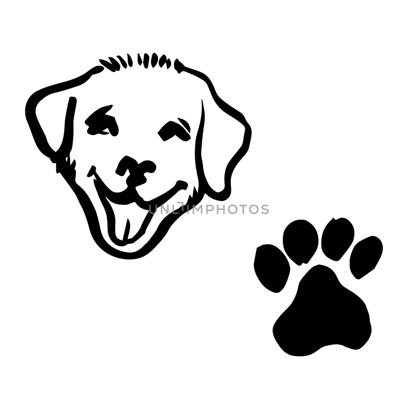 freehand sketch illustration of Labrador Retriever puppy dog, animal footprint doodle hand drawn